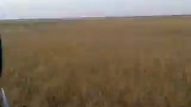 Погоня.mp4 смотреть онлайн