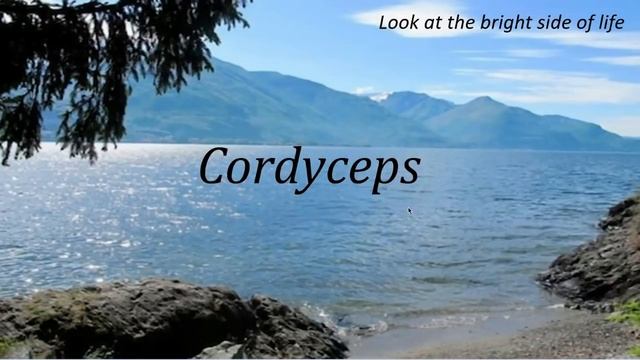 cordyceps смотреть онлайн