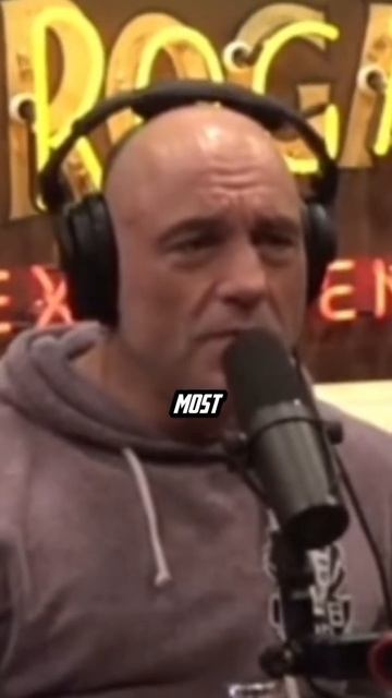 OWLS ARE THE MOST DANGEROUS ANIMALS!! #jre #joerogan смотреть онлайн
