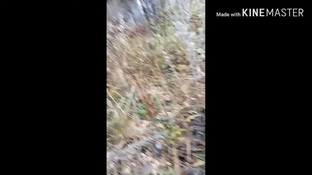 Поход по полю и по озеру смотреть онлайн