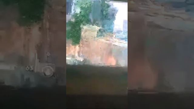 Pussy смотреть онлайн