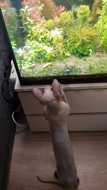 Нужно придумать название😉 смотреть онлайн