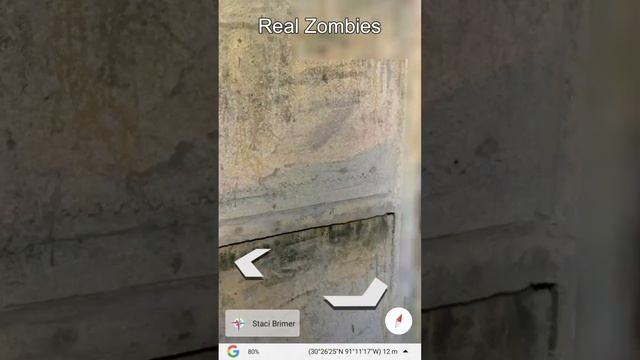 Real Zombie's Found On Google Earth #shorts #short #zombiesurvival #zombieland #googleearth #ghost