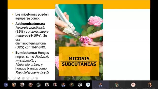 Micología