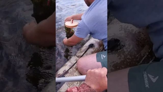 ВО НАКРУТИЛА ! ЩУКИ КАРЕЛИИ . смотреть онлайн