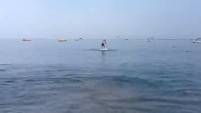 Ryland Holland paddle boarding in Puerto Vallarta, Banderas смотреть онлайн