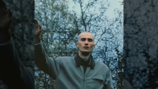 Чудом ушли. ДМБ. #shorts смотреть онлайн