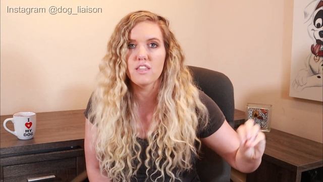 What you MUST know about Dog Trainers & How to Pick the Right One смотреть онлайн