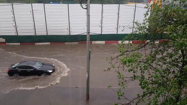 Мошинлар хам сувда сузадими? Yor tv смотреть онлайн