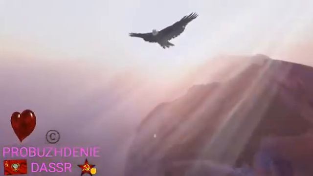 Информационная Листовка Пробуждение. смотреть онлайн