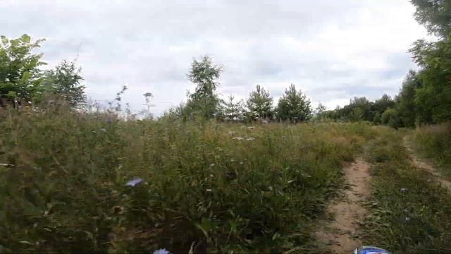 Поездка за грибами на пит байке. смотреть онлайн