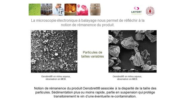 L’action du chitosane sur Brettanomyces bruxellensis-Bastien Nazaris Laffort&Joana Coulon,Biolaffor смотреть онлайн
