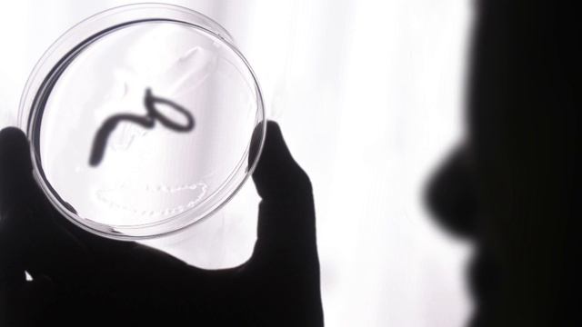 Navy Entomologists : More Than Just Bug Nerds смотреть онлайн