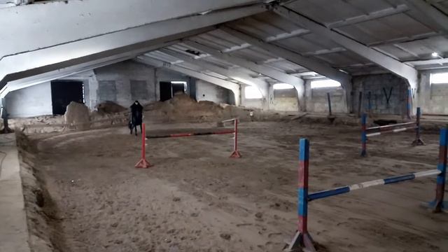 Ох ты конь мой вороной. смотреть онлайн