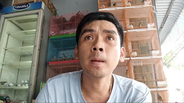 16/5 : Chim Hồng Loan - Xanh Tím - Hồng Hạnh 0967198105 смотреть онлайн
