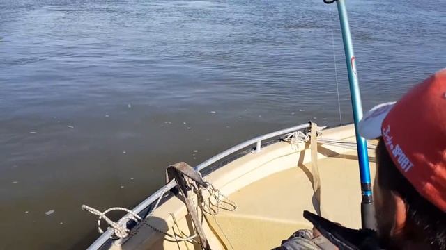 Сом тянет на 30 кг! смотреть онлайн