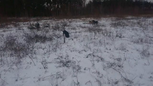 Нора Ия Бэкий Дэнни Зима смотреть онлайн