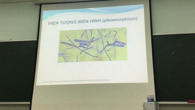 Ck1dalieu_KST Vi Nấm 1