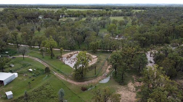 Drone view of Durong Dingo Sanctuary after heavy rain. смотреть онлайн