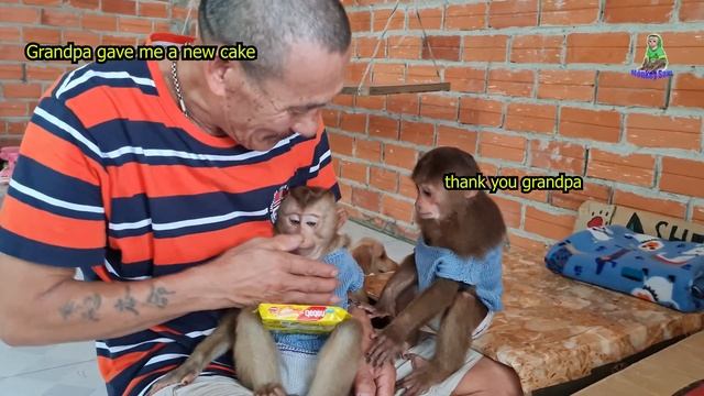 Bibi dog steals Sam boy's cake смотреть онлайн