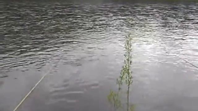 Мана. Утро. смотреть онлайн