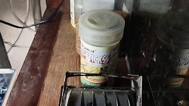 Корм для малька. Подмены воды. смотреть онлайн
