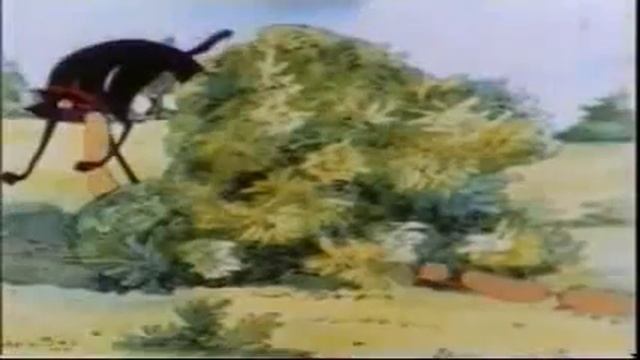 Собаки Мушкетёры и Коты Кандидаты