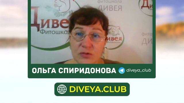 КВАС ИЗ ЧИСТОТЕЛА. Рецепт и полезные свойства смотреть онлайн