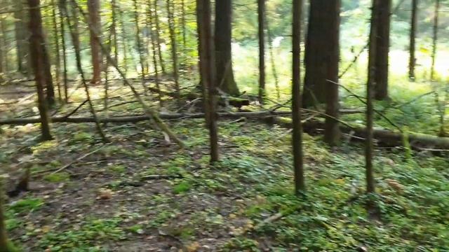 Не самый весёлый видеоролик. смотреть онлайн