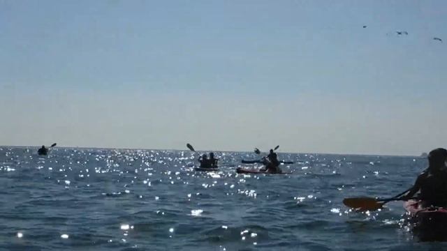 6 30 2018 DOLPHIN ADVENTURE WED 9 AM 1 смотреть онлайн