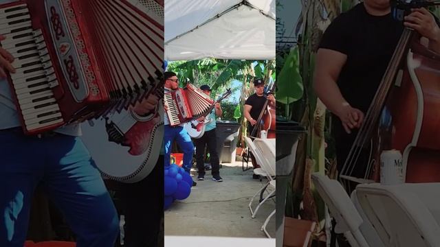 vida mafiosa - Los Bravos De Cosala смотреть онлайн