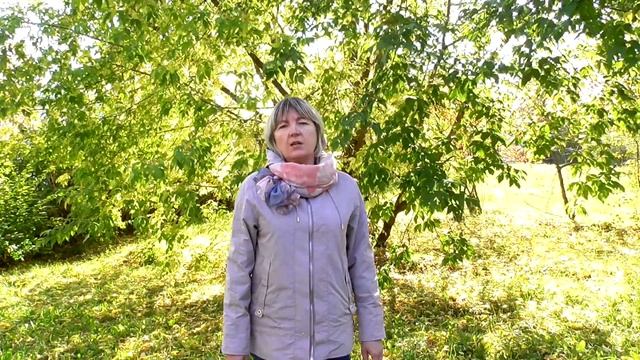 #ЧитаемЕсенина "Отговорила роща золотая" смотреть онлайн