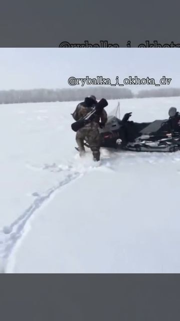 Вот кролик убежал смотреть онлайн