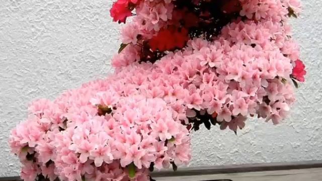 Красота Земли! смотреть онлайн