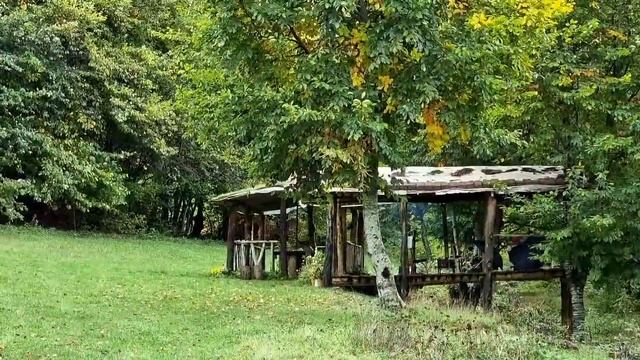 Два Самых Вкусных и Простых Рецепта в Одном Видео. смотреть онлайн