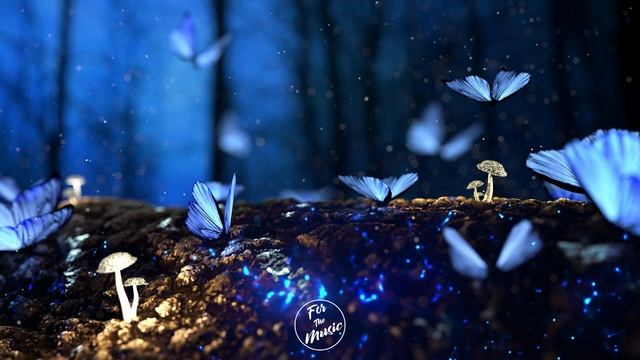 Mother Forgot - Tora смотреть онлайн