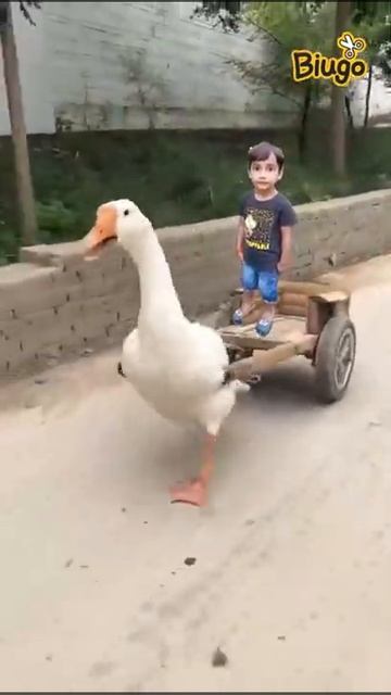 so cute смотреть онлайн