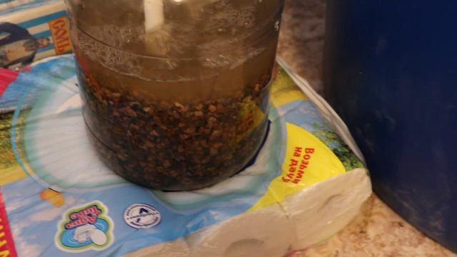 Бочка для брожения, тихий гидрозатвор из стеклянной банки