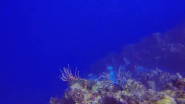 Piper's Wall, Cayman Brac 5/29/2016 смотреть онлайн