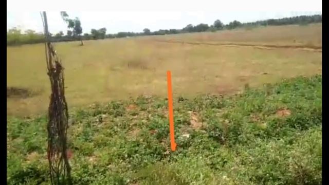 1.5_Acre#Tar#Road#Face#Agriculture#Land_Sale#Litigation_free#ime// Subramanya m r // subscribe me / смотреть онлайн