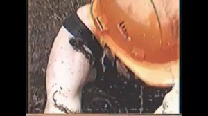 Подболотники