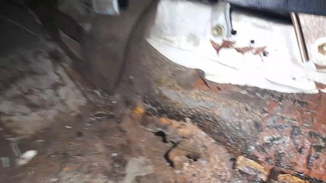 Бобры не дремлют смотреть онлайн