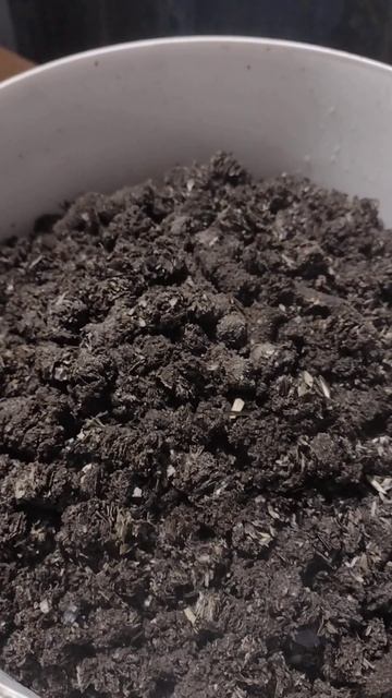 Запаривание субстрата Грибовод смотреть онлайн