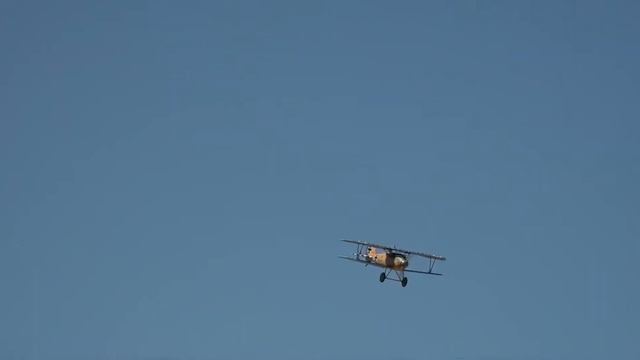 Super Scale RC Albatros DVa 1:4 смотреть онлайн