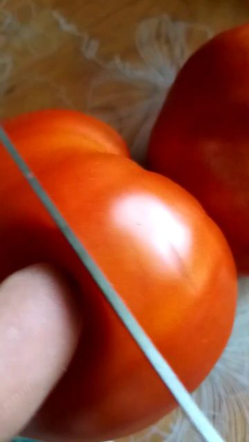 Сорт Помидор Брутус!