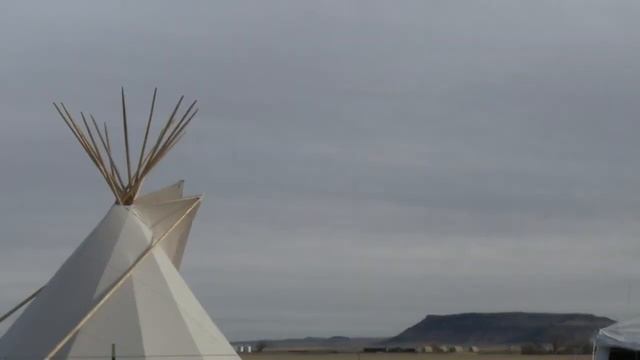 Bison return to Rocky Boy's Reservation смотреть онлайн