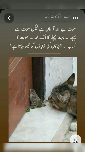 Maut Behad Aasan Hai Lekin #allah #poetry #quote #urdustatus  #sadpoetry #shorts