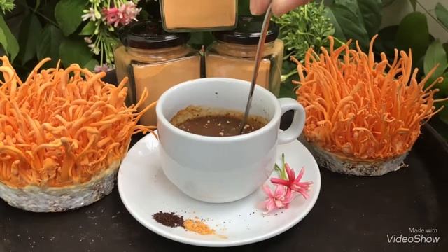 Coffee Cordyceps militaris ( cà phê ĐTHT) смотреть онлайн