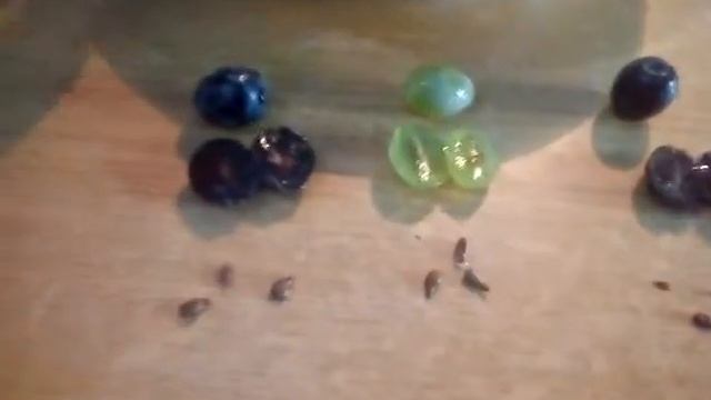 Виноград в разрезе смотреть онлайн