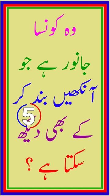 Paheliyan In Urdu #youtubeshorts #ytshorts #youtube